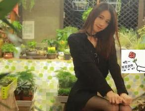 全网走光福利在线,揭秘网络直播界的激情瞬间