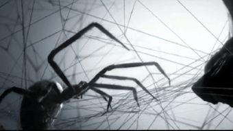 蜘蛛衣福利在线,揭秘在线福利新体验